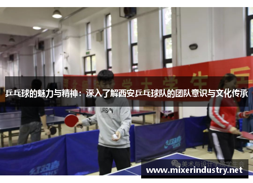 乒乓球的魅力与精神：深入了解西安乒乓球队的团队意识与文化传承